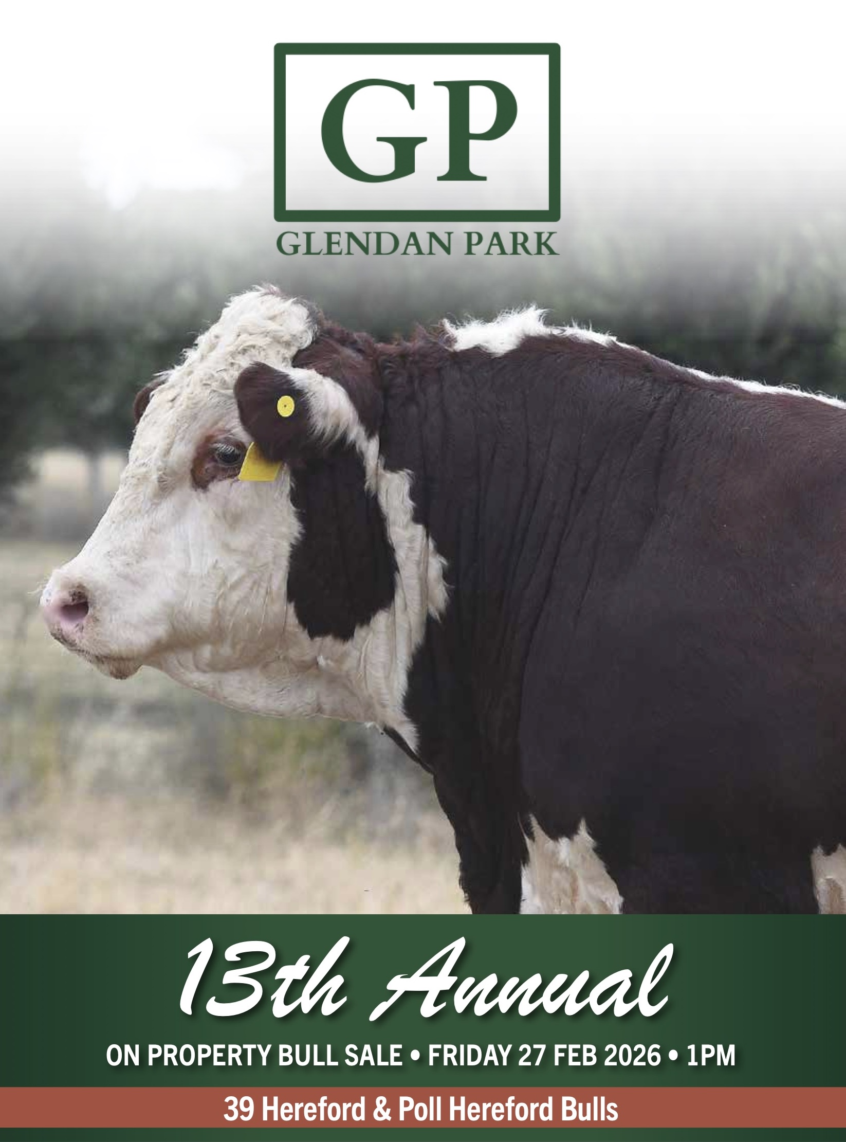 GLENDAN PARK SC FOR WEB