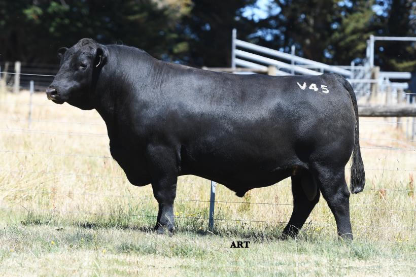 LOT 46 - ALT24V45_resized